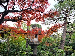 岡崎エリア きょうの京都 国登録有形文化財 藤田家住宅